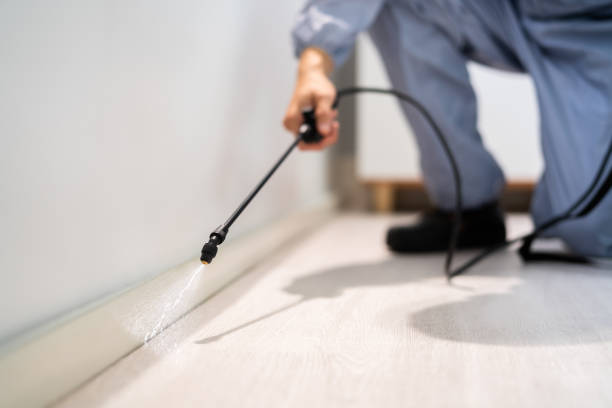 Licensed Termite Control service in Silver Spring, MD - Nex Pest Control