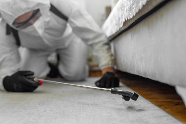 Professional Termite Control technician working in Silver Spring, MD
