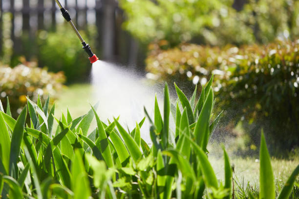 24/7 Emergency Termite Control experts in Silver Spring, MD