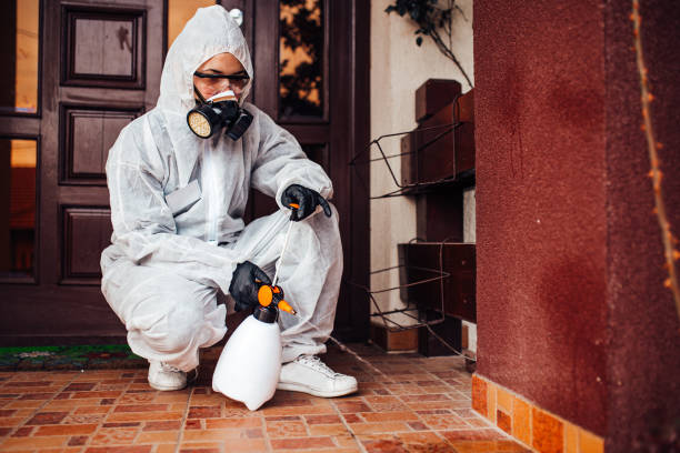 Reliable Termite Control contractor in Silver Spring, MD by Nex Pest Control