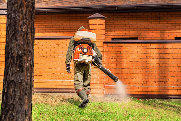 Top rated local Termite Control specialists in Silver Spring, MD
